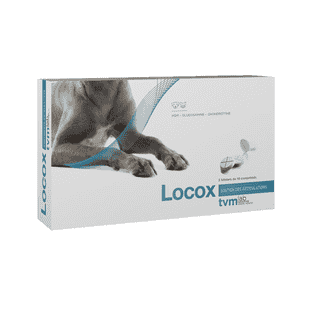 Locox