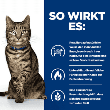 Feline Metabolic Weight & Diabetes Management Salmon