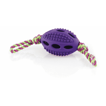 Go Dog Footballs with rope NON TOXIC-Line