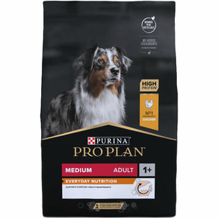 MEDIUM ADULT Everyday Nutrition