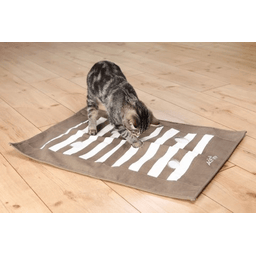 Cat Activity Couverture à gratter