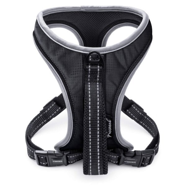 Geschirr Sport Soi Uni schwarz