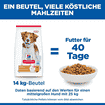 Canine Adult Light Medium Breed