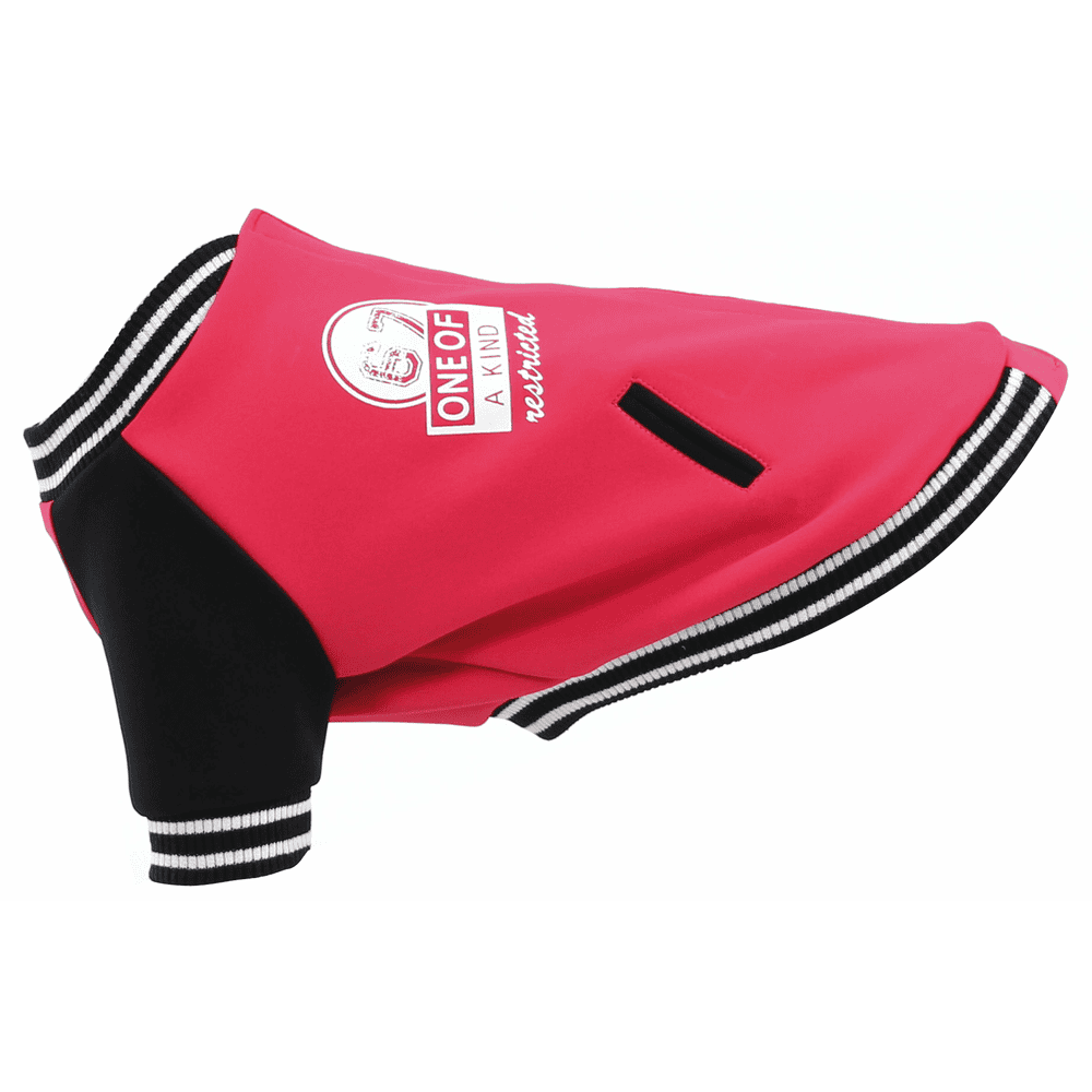 TrendLine dog coat box