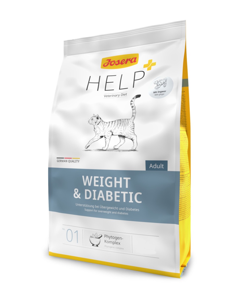 Weight & Diabetic Cat