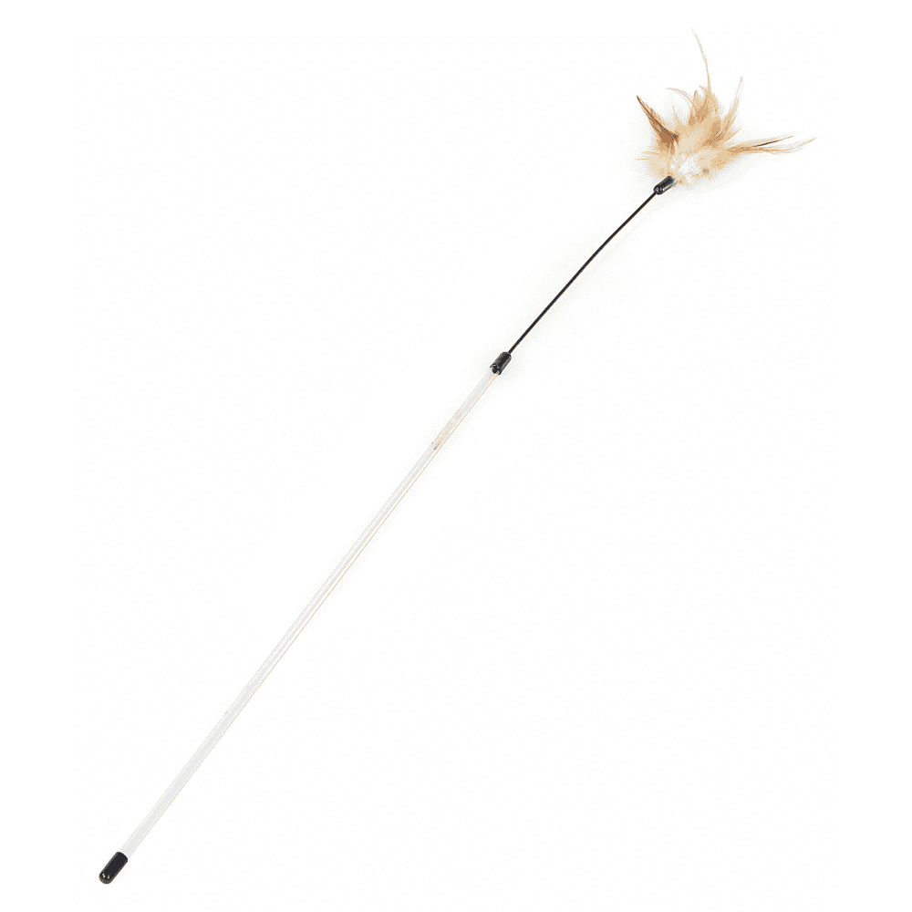 Feather duster Lulu