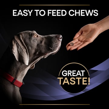 CANINE FortiFlora Chews