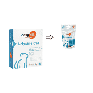 Easypill L-lysine