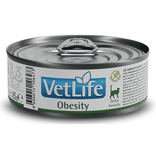 Feline Adult Obesity