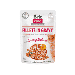 Care Cat - Fillets in Gravy with Savory Salmon
