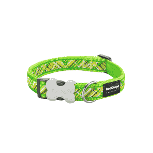 Collier Design Flanno Lime Green