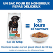 Canine Perfect Weight + Active Mobility Large Breed