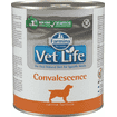 Canine Convalescence en boîte
