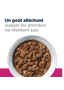 Canine Gastrointestinal Biome Stew - Boîte