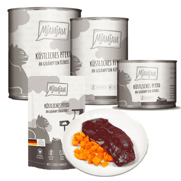 Köstliches Pferd (Cheval & Courge vapeur)