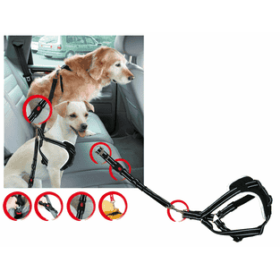 Sicherheitsgeschirr DogSafe für Hunde