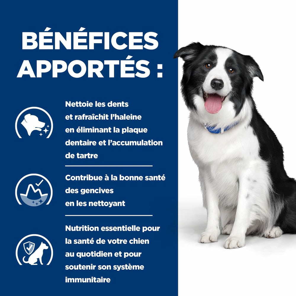 Canine t/d Detal Care