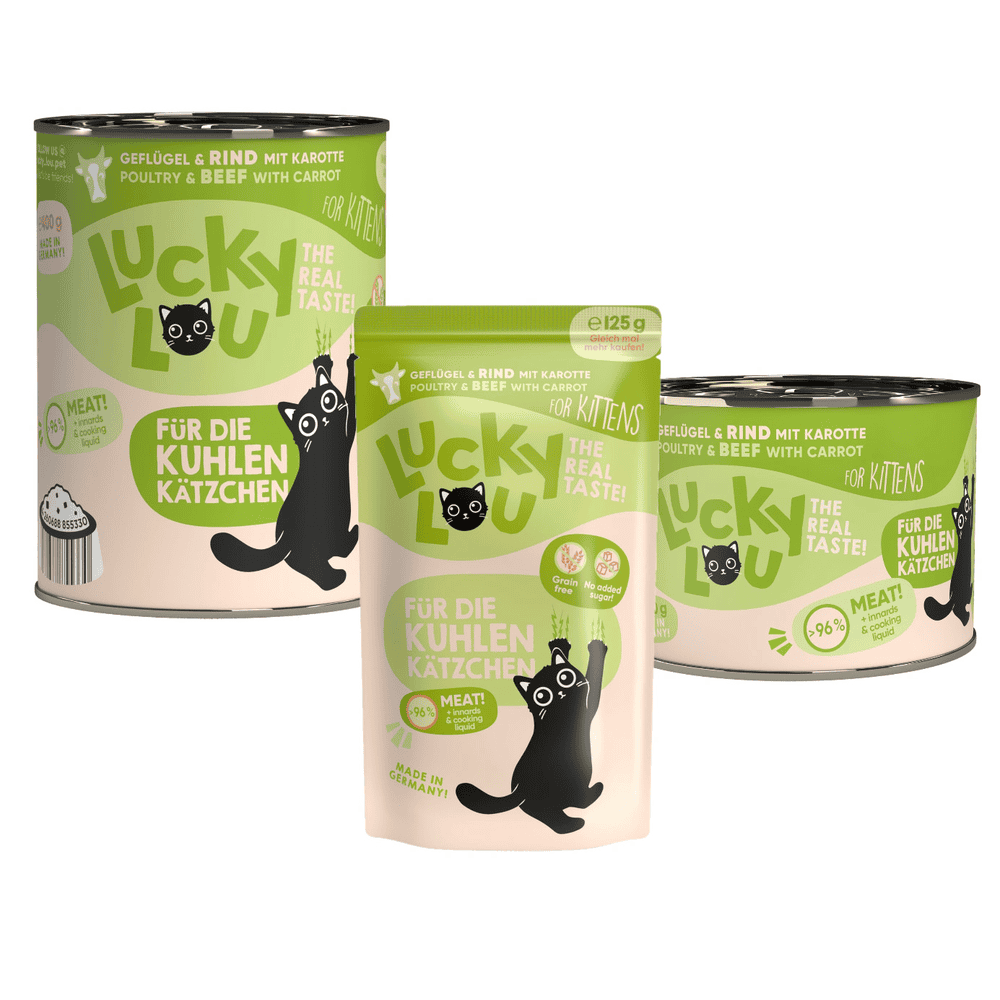 Kitten Poultry &amp; Beef