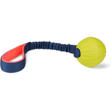 Tuggi Ball