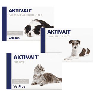 AKTIVAIT