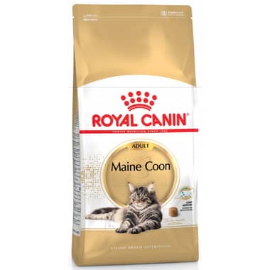 Maine Coon
