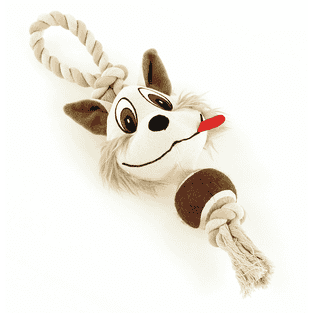 Crazy renard