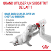 Babydog Milk