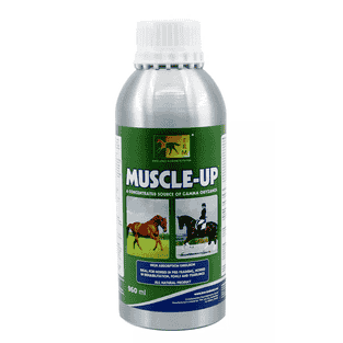 Muscle-Up