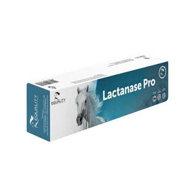Lactanase Pro Paste