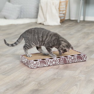 Carton à gratter avec jouet & menthe à chat