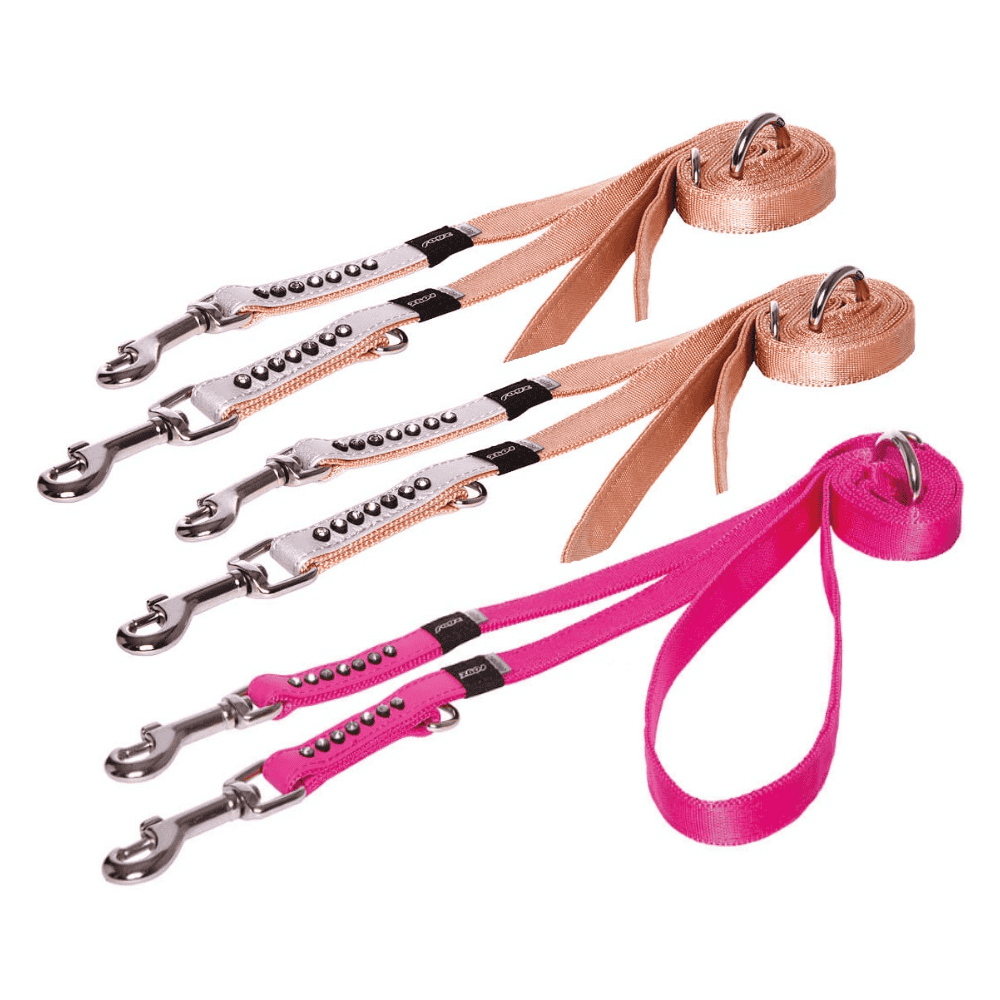 Laisse pour chien Luna