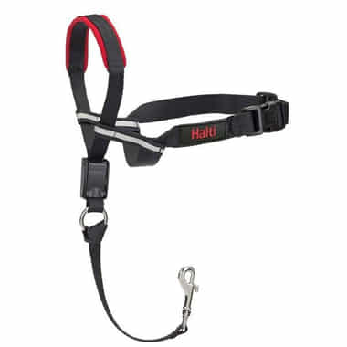 Halti Optifit Headcollar, schwarz