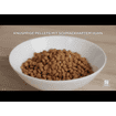 Canine Adult Perfect Weight Mini Breed