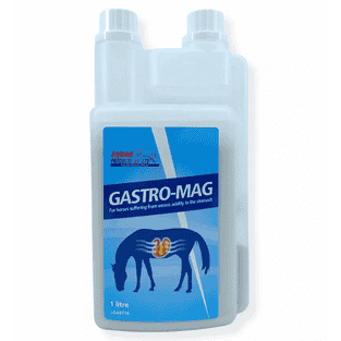Gastro Mag