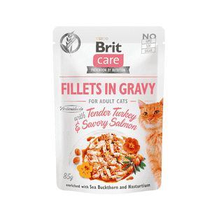 Care Cat - Fillets in Gravy with Tender Turkey & Savory Salmon