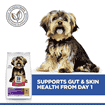 Canine Adult Sensitive Stomach & Skin Small & Mini Breed