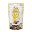 Care Cat Snack - Shiny Hair