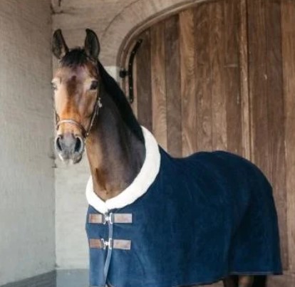 Sweat rug Fleece Show heavy - navy