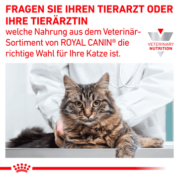 Gastrointestinal Cat - Frischebeutel