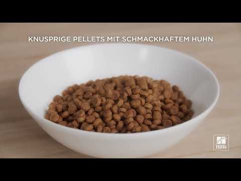 Canine Adult Sensitive Stomach & Skin Small & Mini Breed