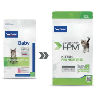 HPM Baby Cat (Pre Neutered)