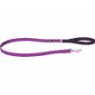 Elegant Purple leashes