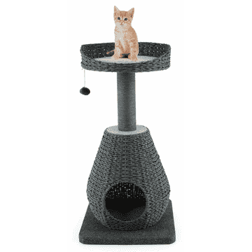 Katzenbaum Rael