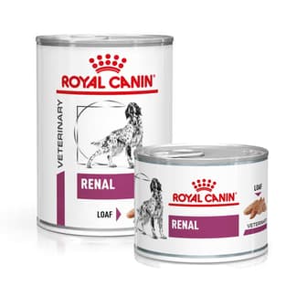 Renal - Dose