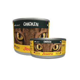 Chicken boîte