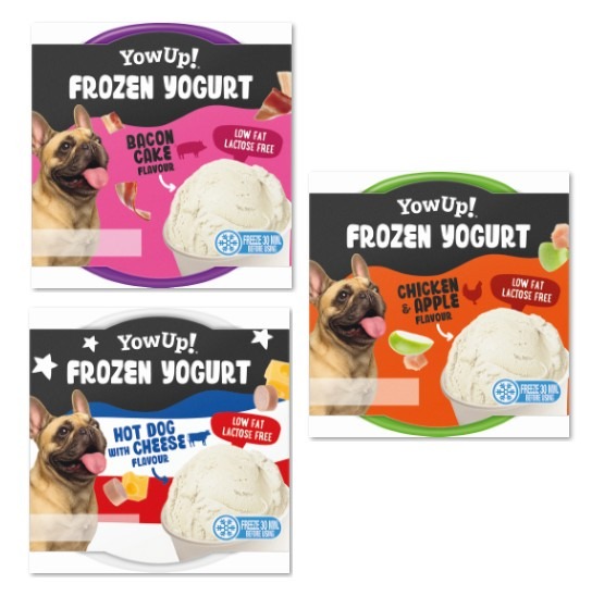Dog Frozen Yogurt