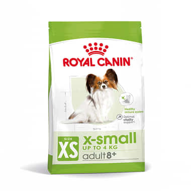 X-Small Ageing 12+
