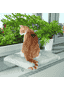 CosyPlace Sitzbrett für Katzen