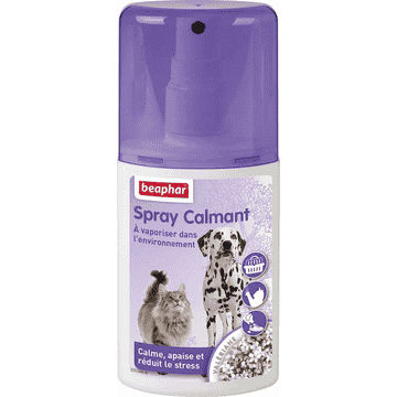 Beruhigungsspray für Hunde und Katzen