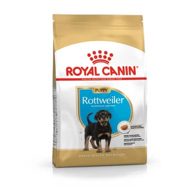 Rottweiler Puppy